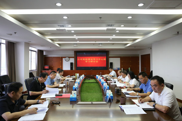 7790必发集团公司党组理论学习中心组开展主题教育第四次集中学习研讨