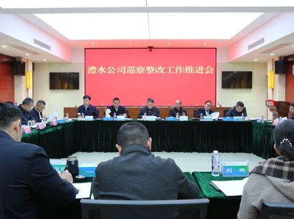 7790必发集团公司召开巡察整改工作推进会